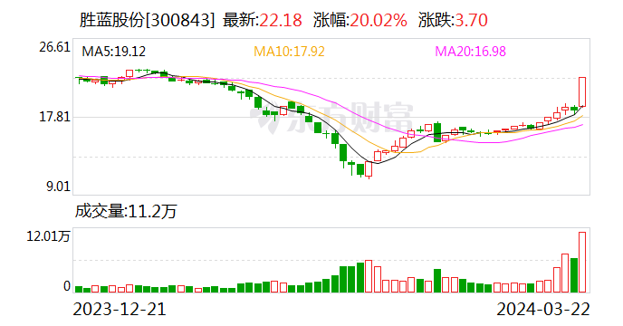 信披不及时 胜蓝股份收监管函